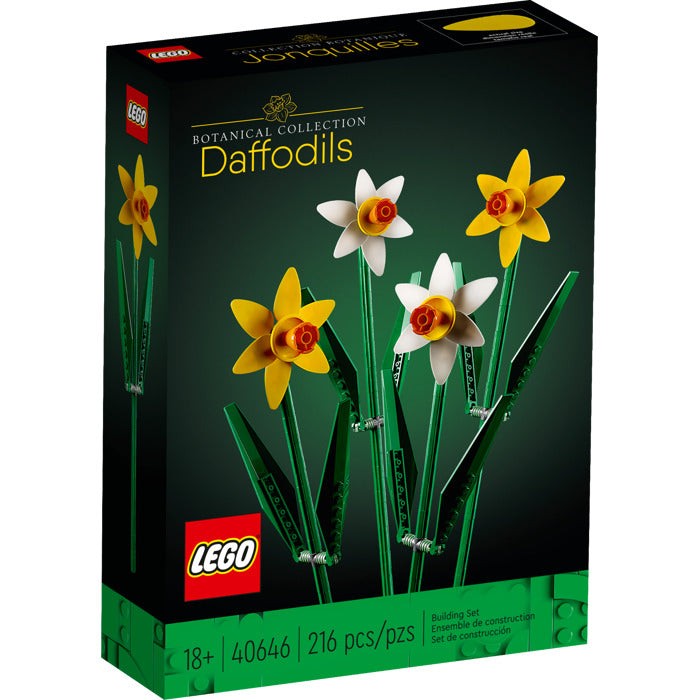 Daffodils | 40646