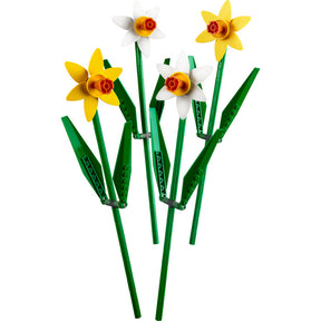 Daffodils | 40646