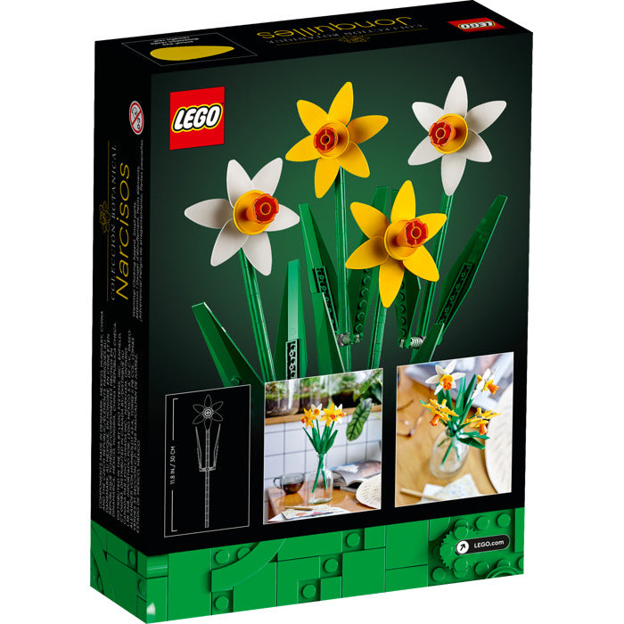 Daffodils | 40646