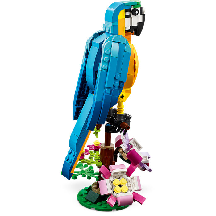 Exotic Parrot | 31136